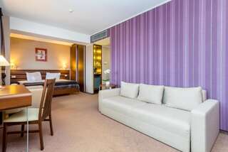 Отель Ramada Hotel Cluj Клуж-Напока Люкс с 1 кроватью размера «king-size»-3
